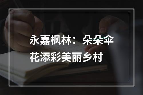永嘉枫林：朵朵伞花添彩美丽乡村