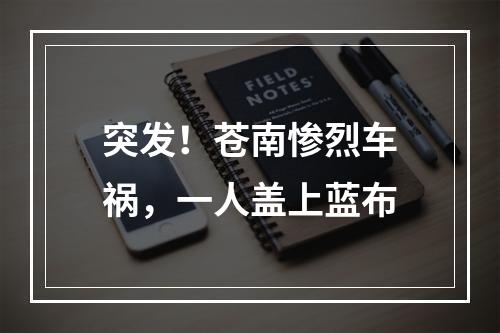 突发！苍南惨烈车祸，一人盖上蓝布