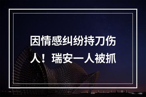因情感纠纷持刀伤人！瑞安一人被抓
