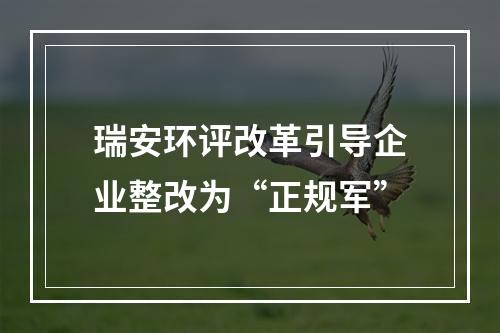 瑞安环评改革引导企业整改为“正规军”