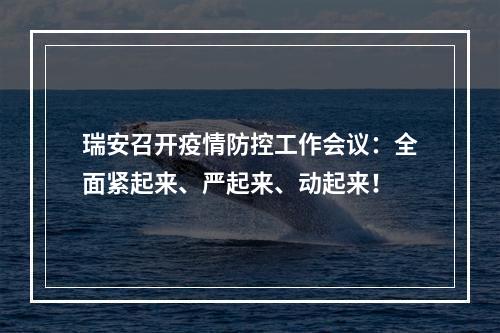 瑞安召开疫情防控工作会议：全面紧起来、严起来、动起来！