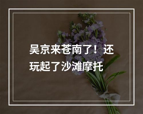 吴京来苍南了！还玩起了沙滩摩托