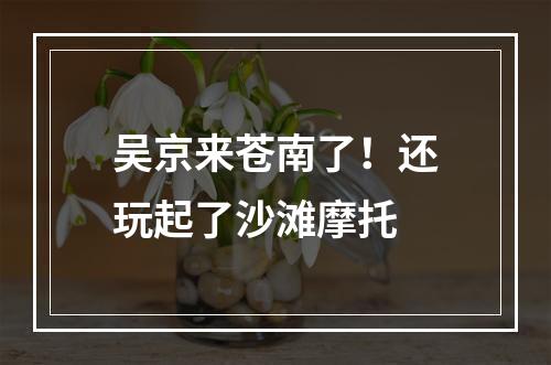 吴京来苍南了！还玩起了沙滩摩托