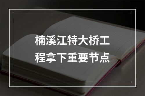 楠溪江特大桥工程拿下重要节点