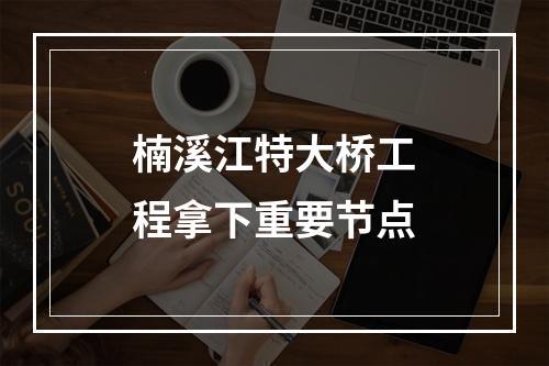 楠溪江特大桥工程拿下重要节点
