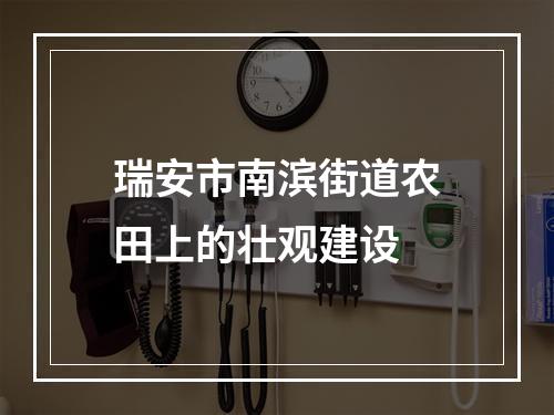 瑞安市南滨街道农田上的壮观建设