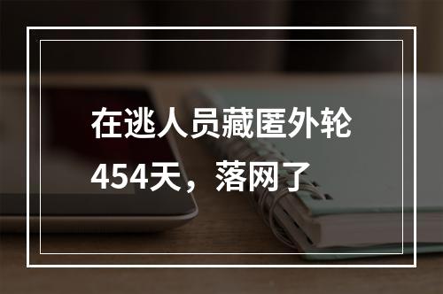 在逃人员藏匿外轮454天，落网了