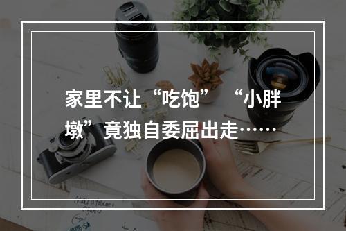 家里不让“吃饱” “小胖墩”竟独自委屈出走……