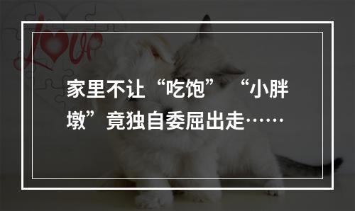 家里不让“吃饱” “小胖墩”竟独自委屈出走……
