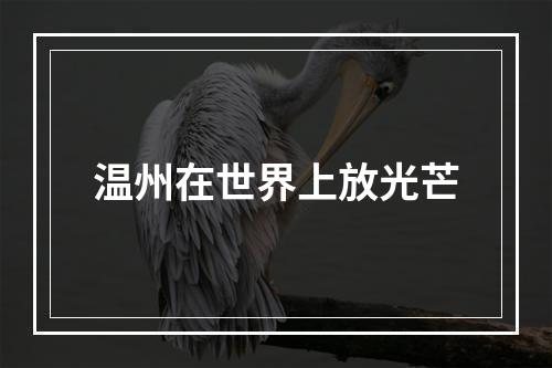 温州在世界上放光芒