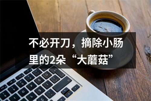不必开刀，摘除小肠里的2朵“大蘑菇”