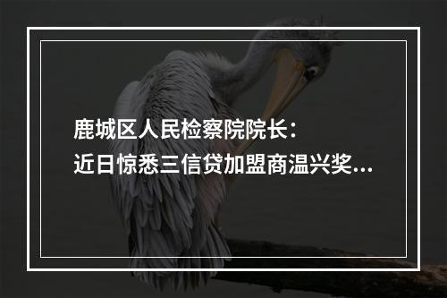 鹿城区人民检察院院长：    近日惊悉三信贷加盟商温兴奖，欠款1000多万元，
