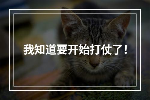 我知道要开始打仗了！