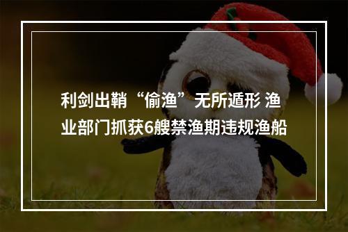 利剑出鞘“偷渔”无所遁形 渔业部门抓获6艘禁渔期违规渔船