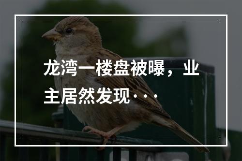 龙湾一楼盘被曝，业主居然发现···