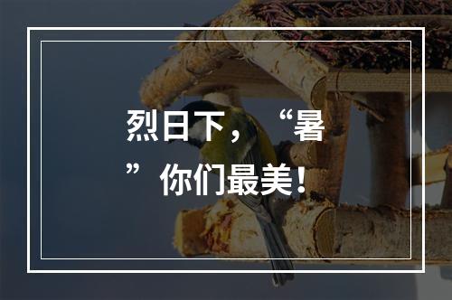 烈日下，“暑”你们最美！