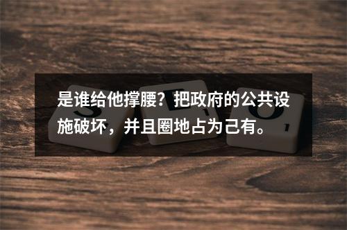 是谁给他撑腰？把政府的公共设施破坏，并且圈地占为己有。