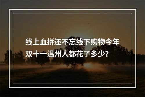 线上血拼还不忘线下购物今年双十一温州人都花了多少？