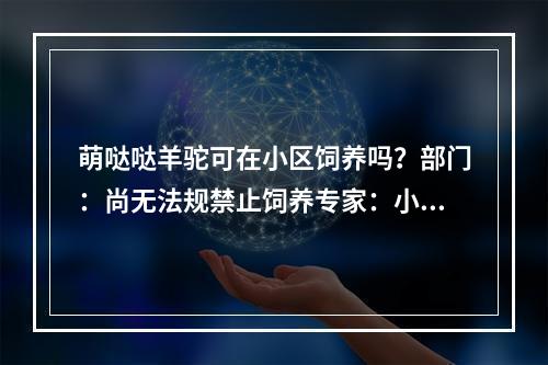 萌哒哒羊驼可在小区饲养吗？部门：尚无法规禁止饲养专家：小区环境不适合饲 ...