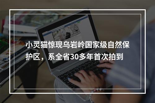 小灵猫惊现乌岩岭国家级自然保护区，系全省30多年首次拍到