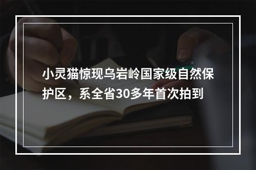 小灵猫惊现乌岩岭国家级自然保护区，系全省30多年首次拍到