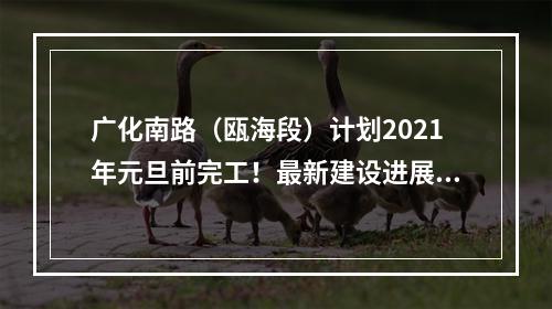 广化南路（瓯海段）计划2021年元旦前完工！最新建设进展来了……