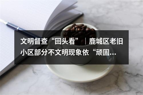 文明督查“回头看”｜鹿城区老旧小区部分不文明现象依“顽固”
