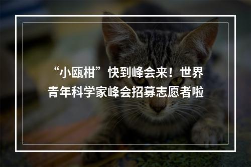“小瓯柑”快到峰会来！世界青年科学家峰会招募志愿者啦