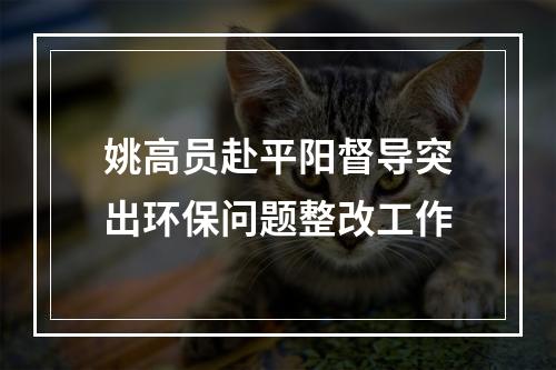 姚高员赴平阳督导突出环保问题整改工作