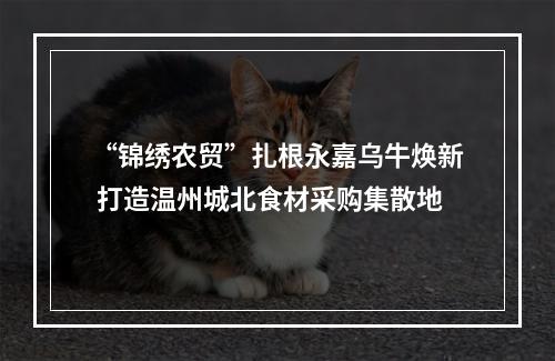 “锦绣农贸”扎根永嘉乌牛焕新 打造温州城北食材采购集散地