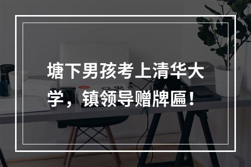 塘下男孩考上清华大学，镇领导赠牌匾！
