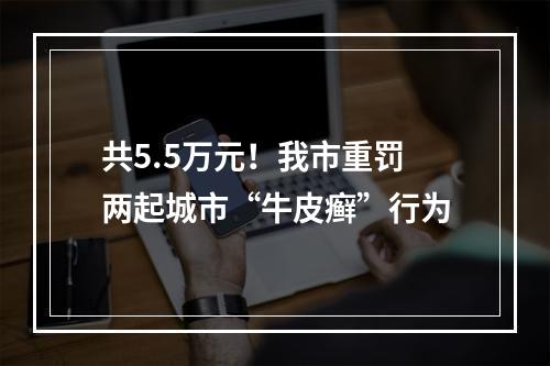 共5.5万元！我市重罚两起城市“牛皮癣”行为