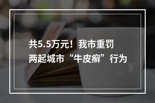 共5.5万元！我市重罚两起城市“牛皮癣”行为