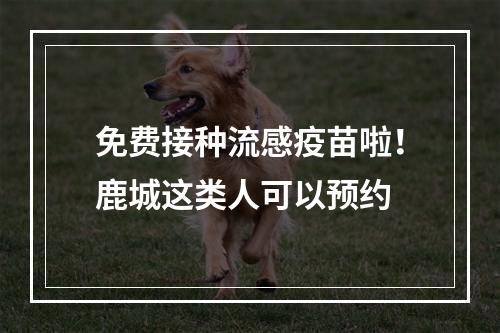 免费接种流感疫苗啦！鹿城这类人可以预约