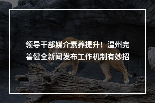 领导干部媒介素养提升！温州完善健全新闻发布工作机制有妙招