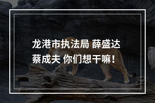 龙港市执法局 薛盛达 蔡成夫 你们想干嘛！