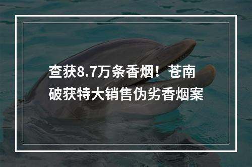 查获8.7万条香烟！苍南破获特大销售伪劣香烟案