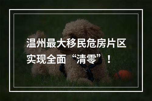 温州最大移民危房片区实现全面“清零”！