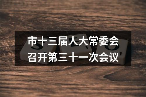 市十三届人大常委会召开第三十一次会议