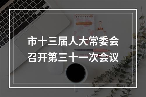 市十三届人大常委会召开第三十一次会议