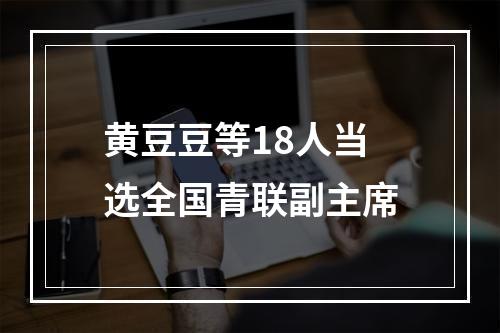 黄豆豆等18人当选全国青联副主席