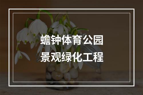 蟾钟体育公园景观绿化工程