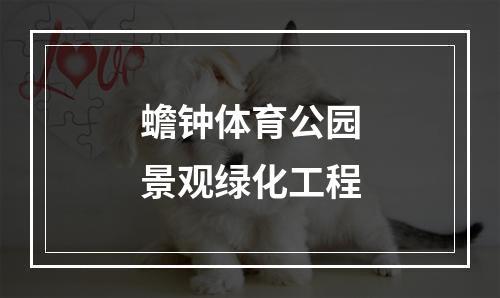 蟾钟体育公园景观绿化工程