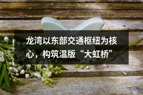 龙湾以东部交通枢纽为核心，构筑温版“大虹桥”