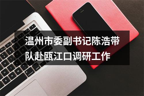 温州市委副书记陈浩带队赴瓯江口调研工作