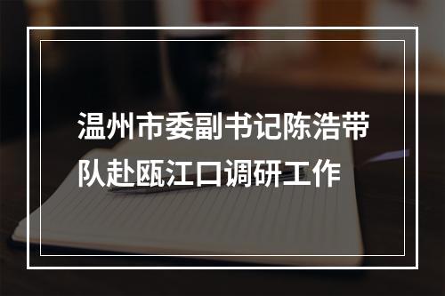 温州市委副书记陈浩带队赴瓯江口调研工作