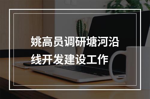 姚高员调研塘河沿线开发建设工作