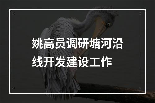 姚高员调研塘河沿线开发建设工作