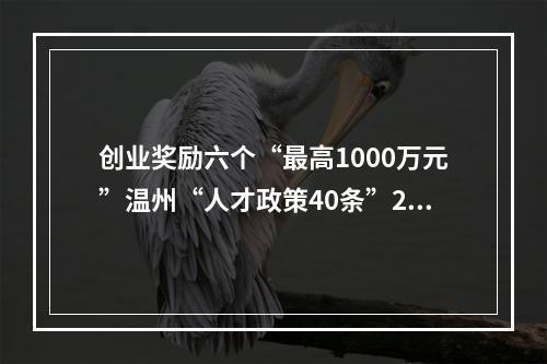 创业奖励六个“最高1000万元”温州“人才政策40条”2.0版发布