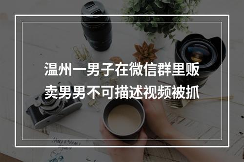 温州一男子在微信群里贩卖男男不可描述视频被抓